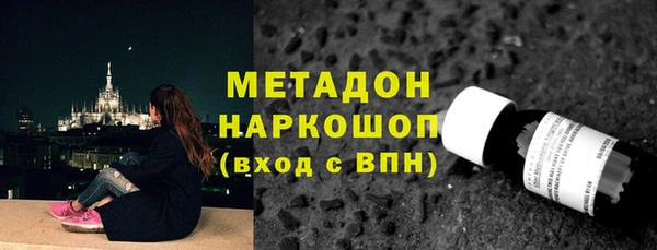 спайс Богданович