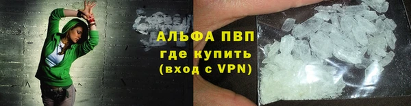 спайс Богданович