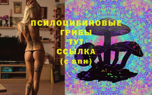 синтетический гашиш Ступино