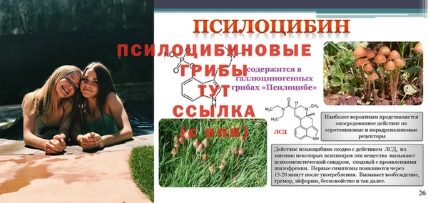 героин Богородицк